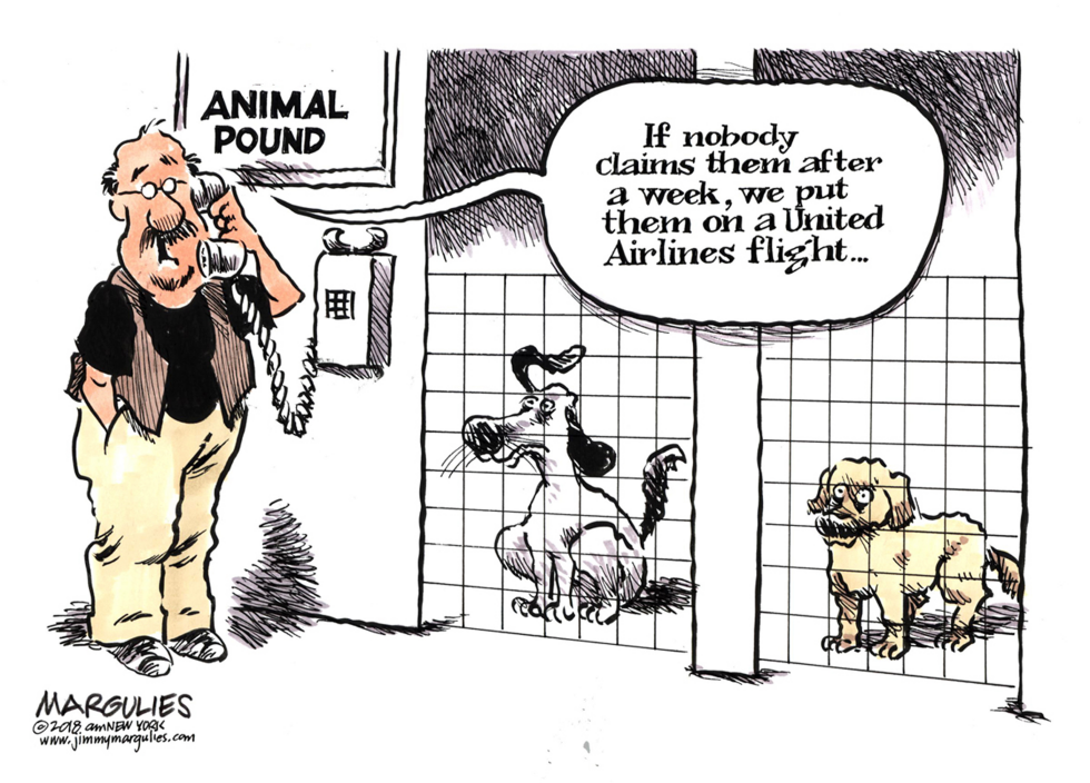 United Airlines dog death color