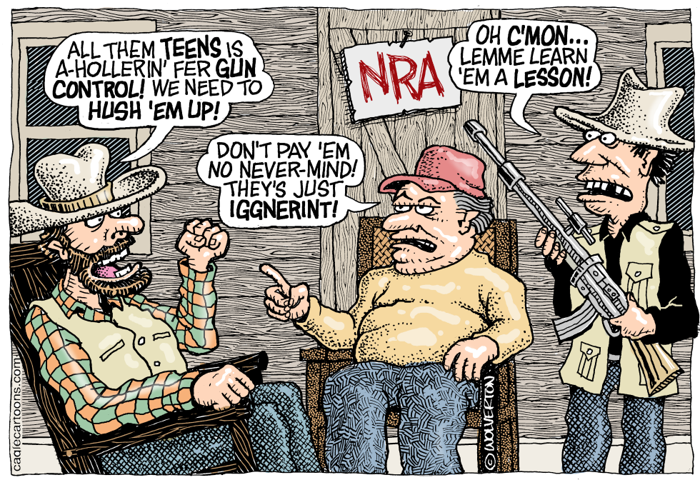 NRA Parkland Backlash