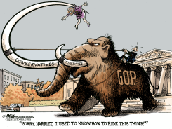 HARRIET MIERS REJECTED BY CONSERVATIVES by R.J. Matson