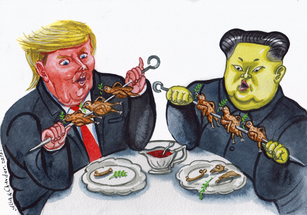 Trump-Kim summit