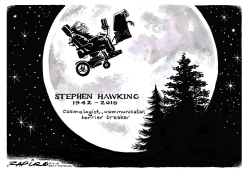 STEPHEN HAWKING by Zapiro