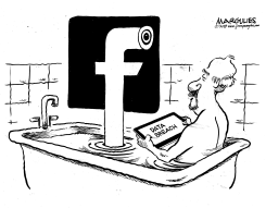 FACEBOOK DATA BREACH by Jimmy Margulies