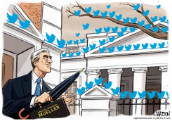 ROBERT MUELLER IN THE BIRDS by R.J. Matson