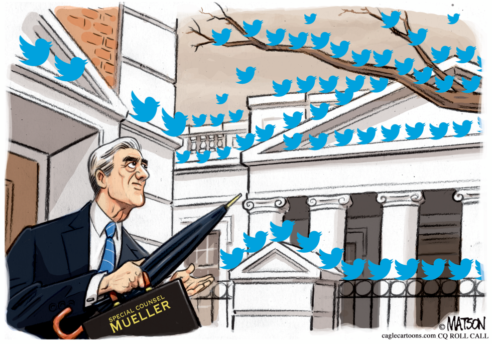 Robert Mueller in The Birds