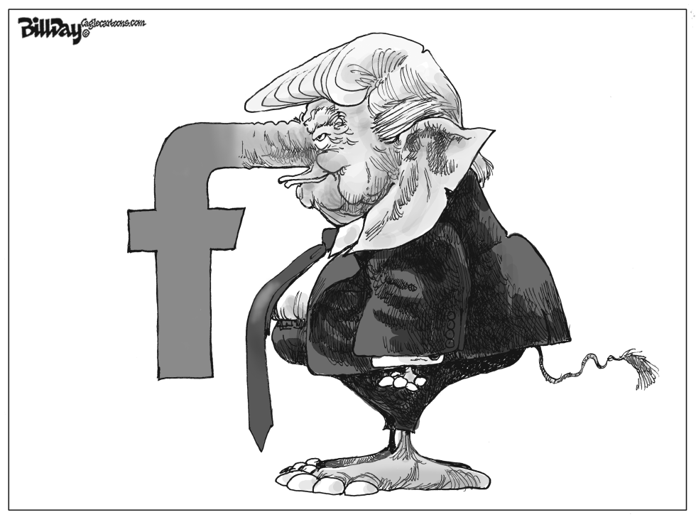 Facecrook