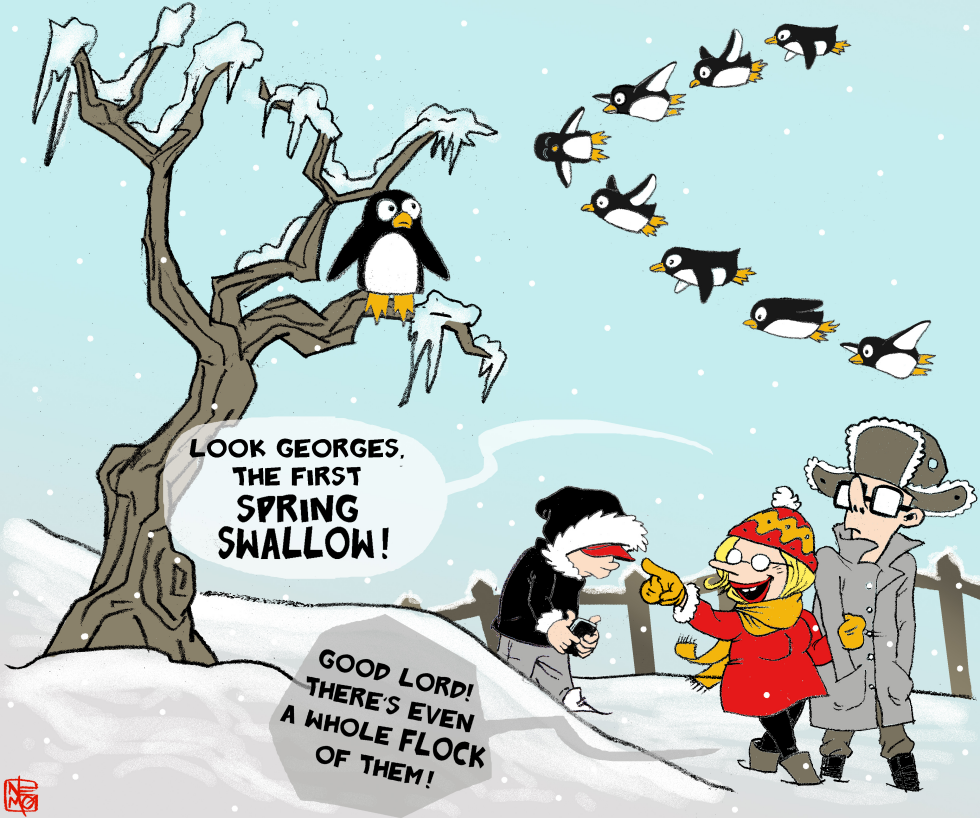 Spring Back Penguins