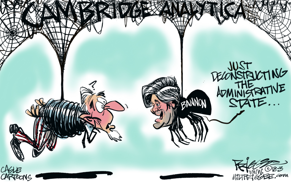  CAMBRIDGE ANALYTICA by Milt Priggee