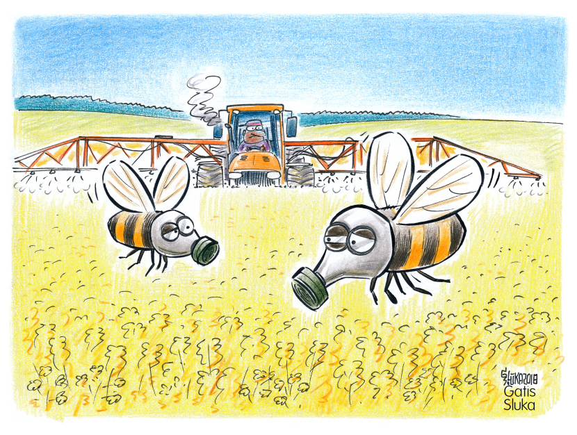 Pesticide and bees