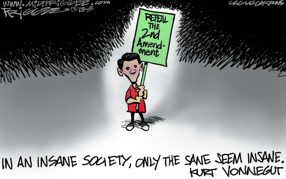 2nd Amendment