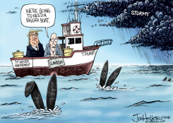 STORMY by Joe Heller
