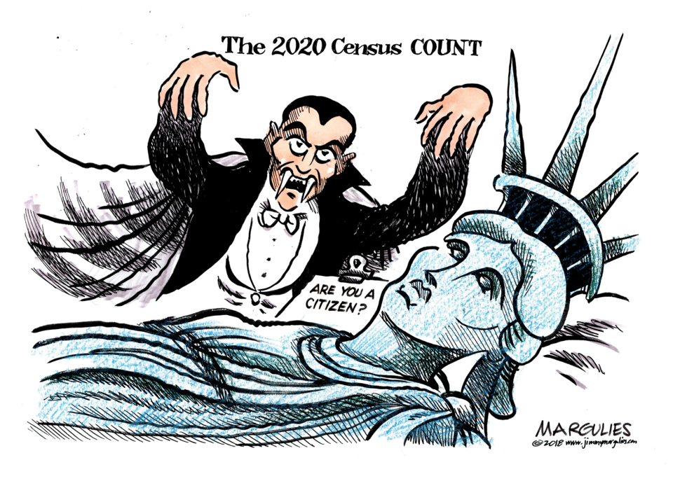 2020 Census color