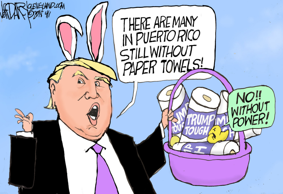 Trump Bunny in Puerto Rico