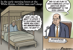 TRUMP CENSUS by Steve Greenberg