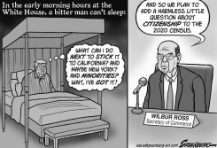 TRUMP CENSUS BW by Steve Greenberg