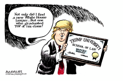 TRUMP LAWYER  by Jimmy Margulies