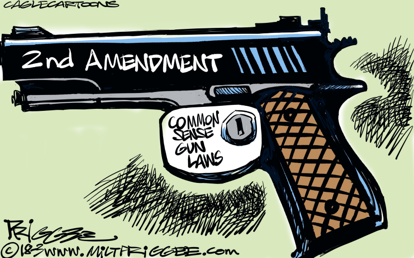 Protecting gun rights