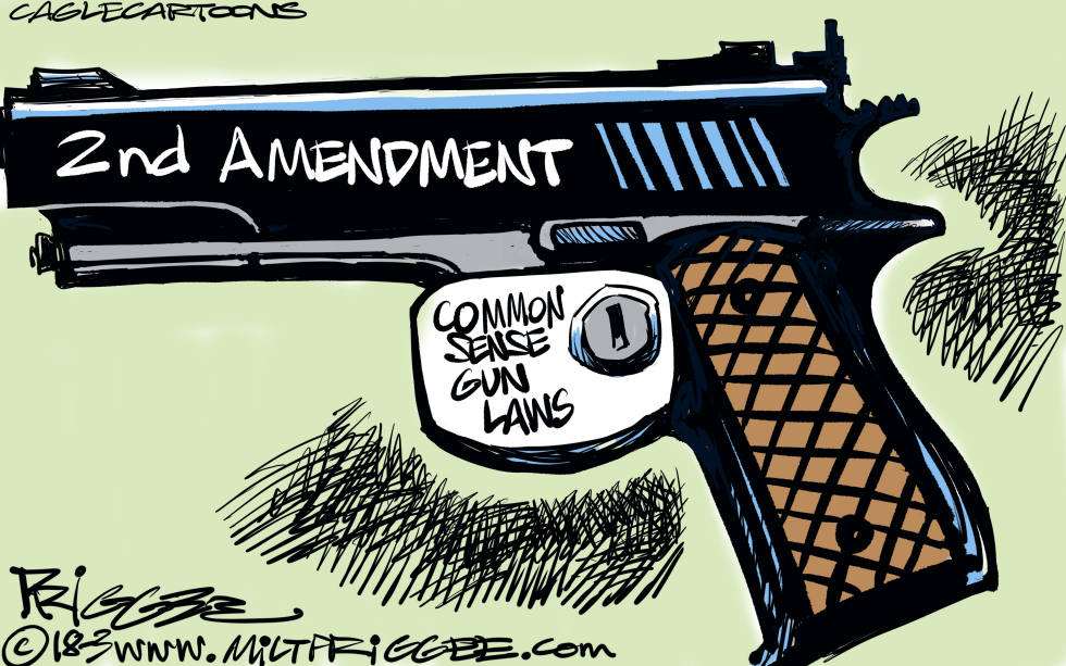 Protecting gun rights