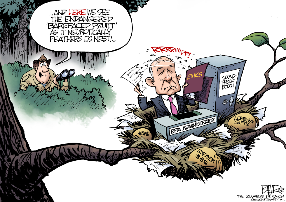 EPA Administrator