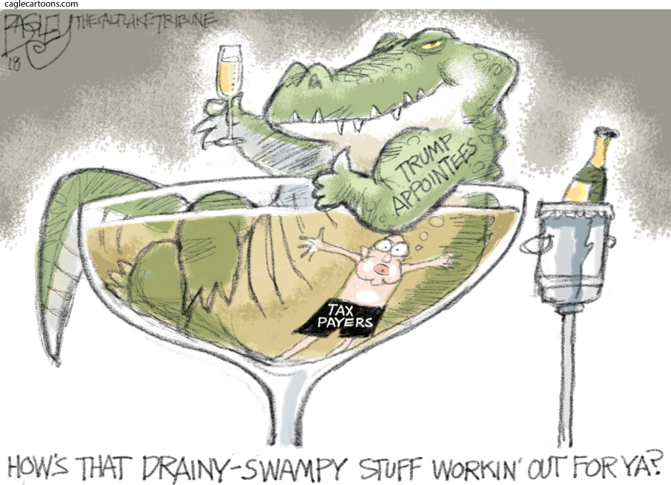  CHAMPAGNE SWAMP by Pat Bagley