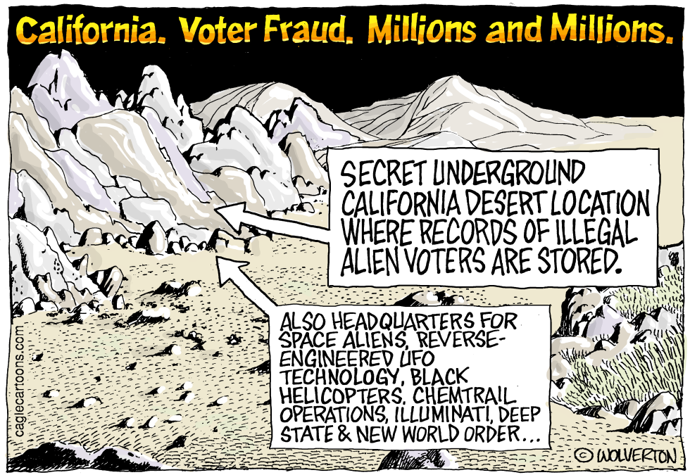 California Voter Fraud