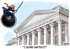 TRUMP FIXER UPPER by R.J. Matson