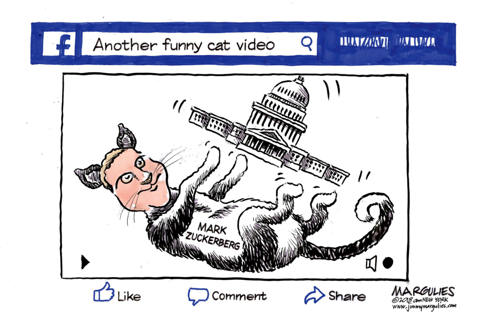 Zuckerberg and Congress color