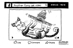 ZUCKERBERG AND CONGRESS by Jimmy Margulies