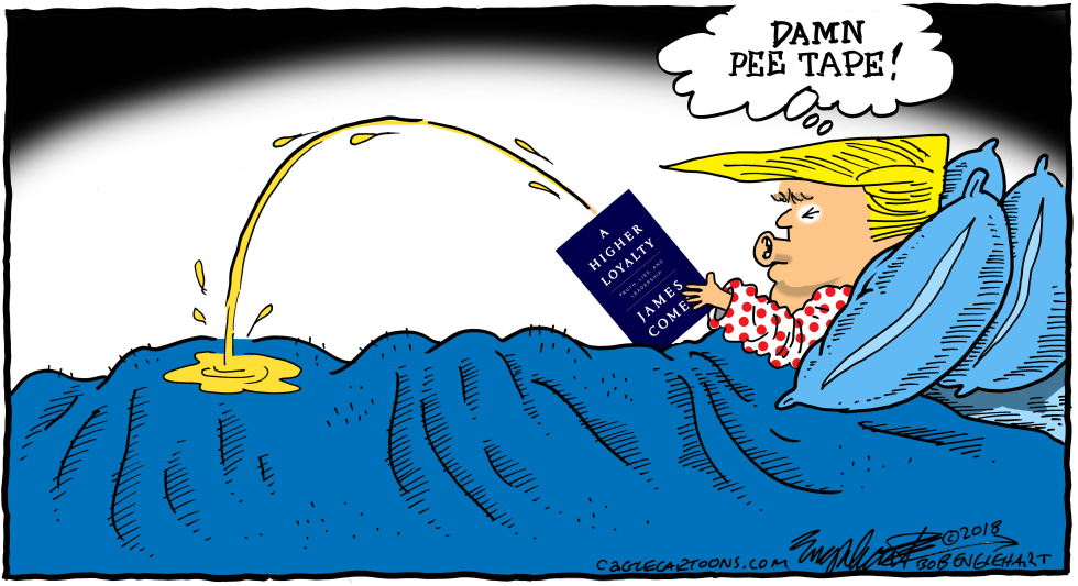  COMEY BOOK by Bob Englehart