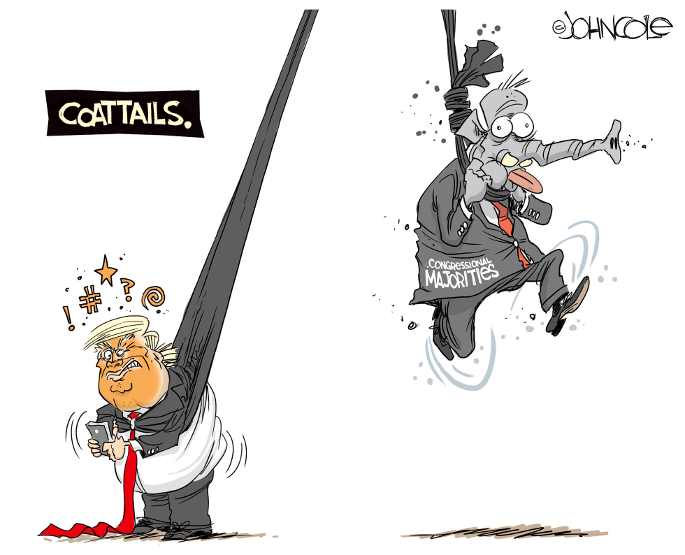 Trump coattails