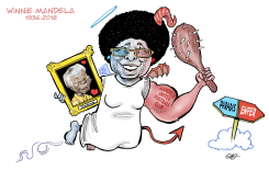 WINNIE MANDELA by Damien Glez