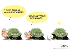 SENATOR MCCONNELL SEE NO NEED TO PROTECT MUELLER by R.J. Matson