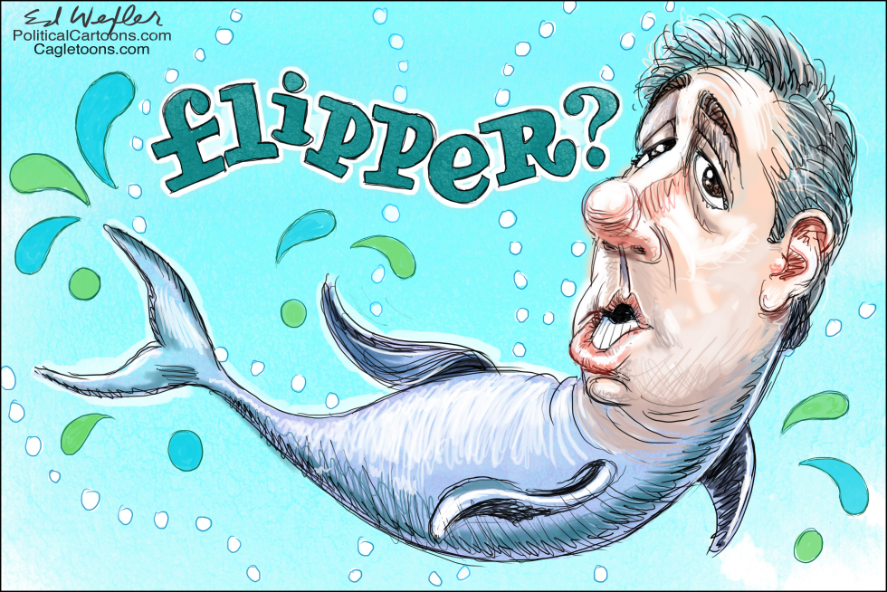  FLIPPER by Ed Wexler