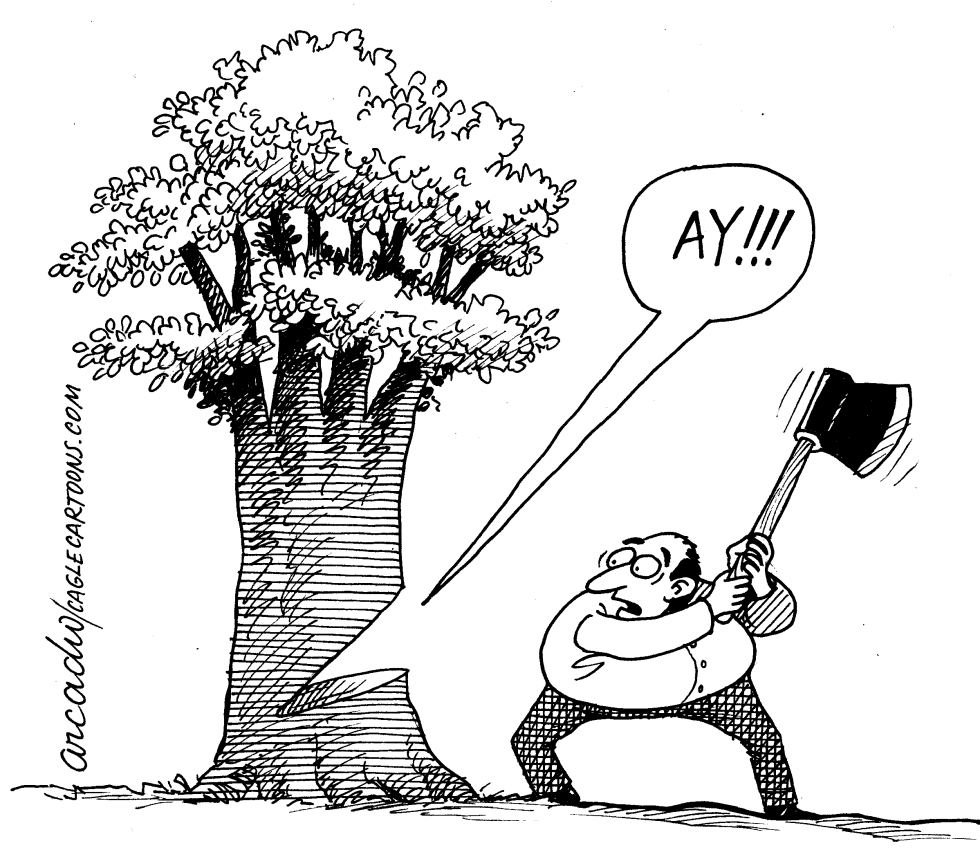 "Los árboles sienten"