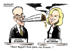 SCHUMER AND GILLIBRAND MARIJUANA PLANS  by Jimmy Margulies