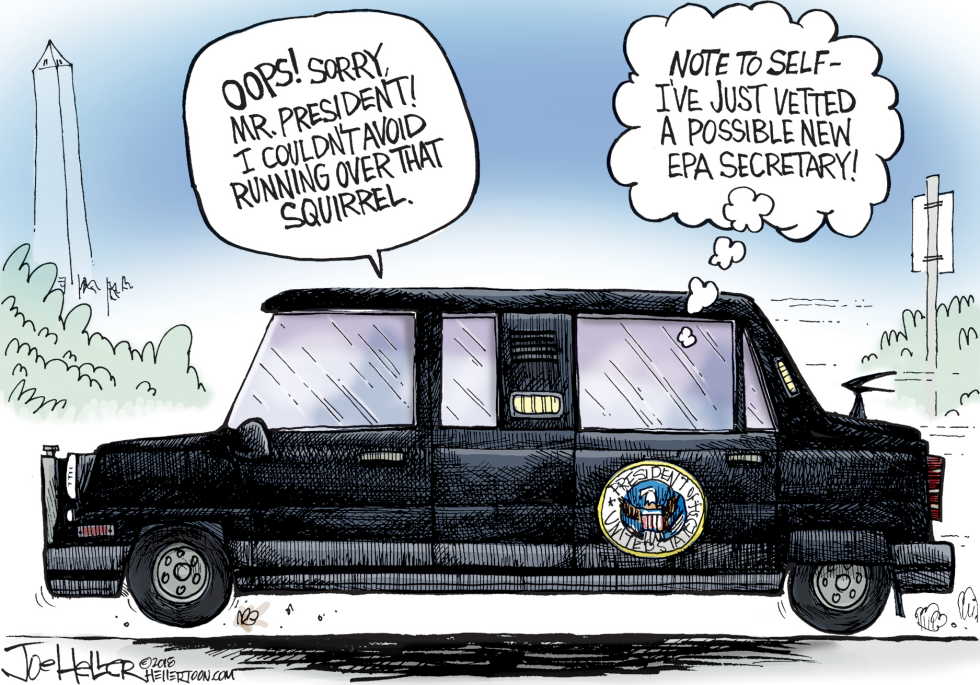 Another Vetting