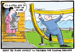 ITS A BIT LATE TO BUILD AN ARK by Ingrid Rice