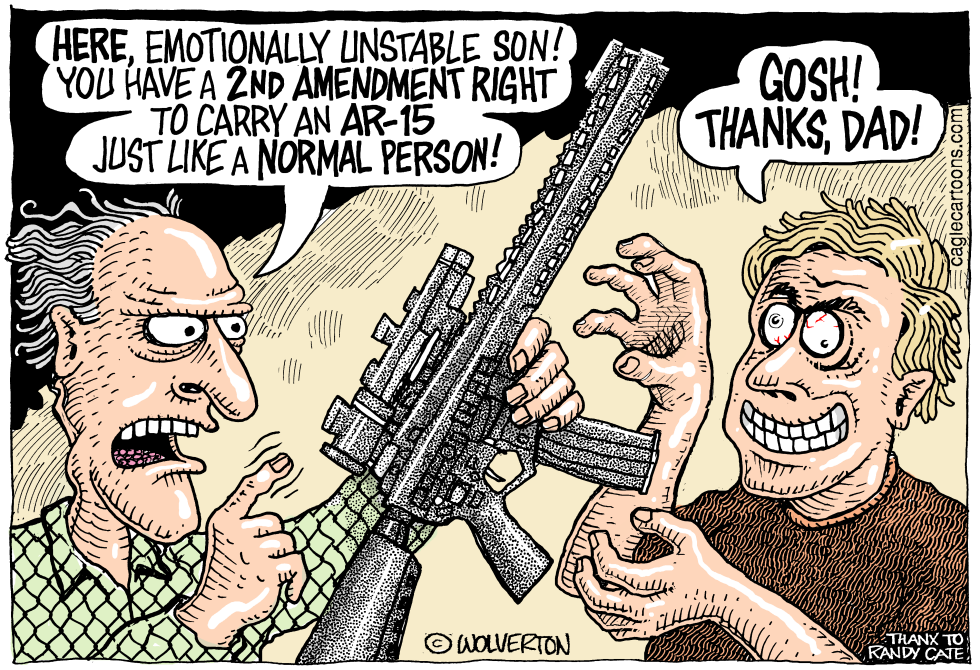 Wackos and Gun Rights