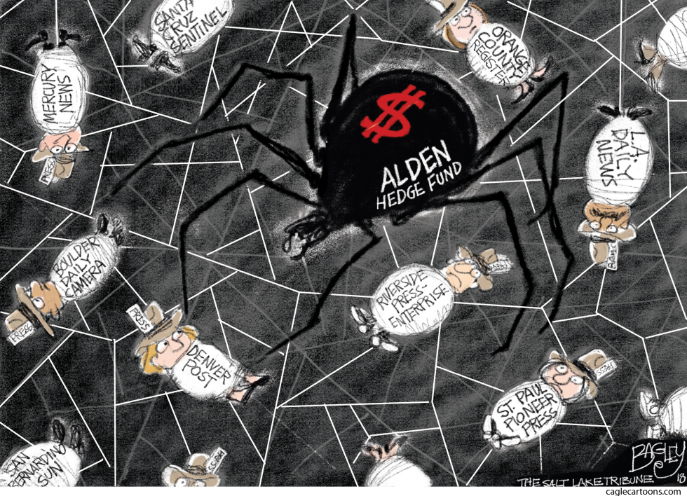 In this political cartoon, a menacing spider labeled Alden Hedge Fund ensnares various newspapers like Denver Post and Boulder Daily Camera in its web, highlighting media ownership satire.