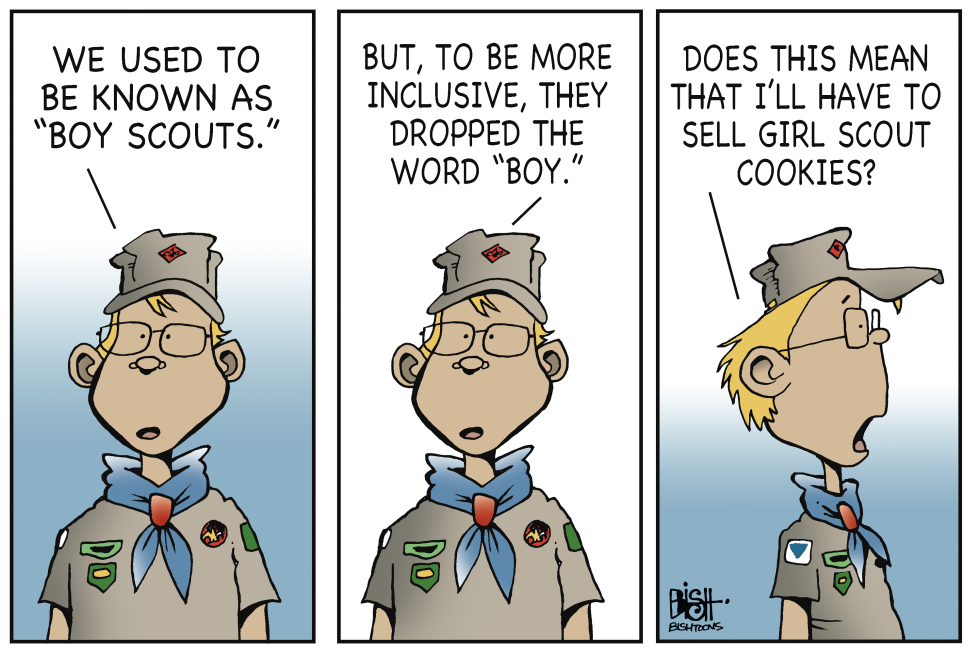 BOY SCOUTS, COLOR