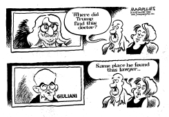TRUMP DOCTOR AND LAWYER by Jimmy Margulies
