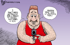 CONCEAL CARRY WITHOUT LICENSE by Bruce Plante