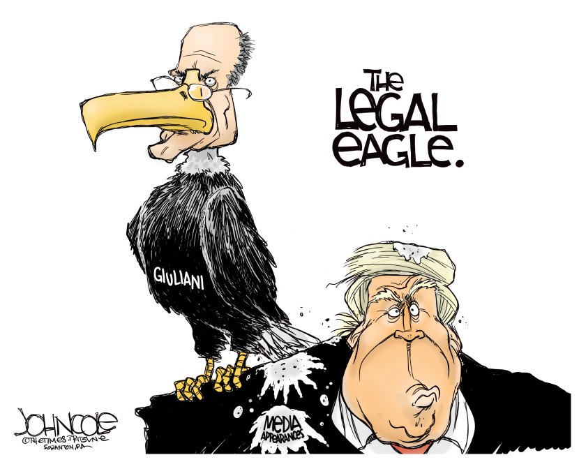 The legal eagle