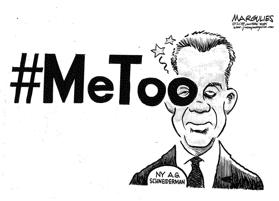 Schneiderman resigns