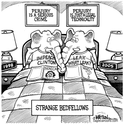REPUBLICANS ARE STRANGE BEDFELLOWS by R.J. Matson