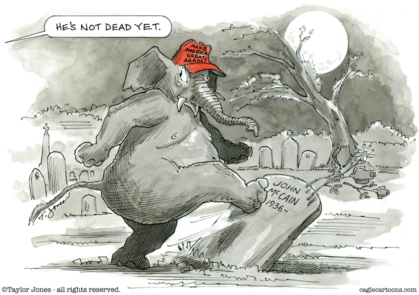Trump-loving McCain haters