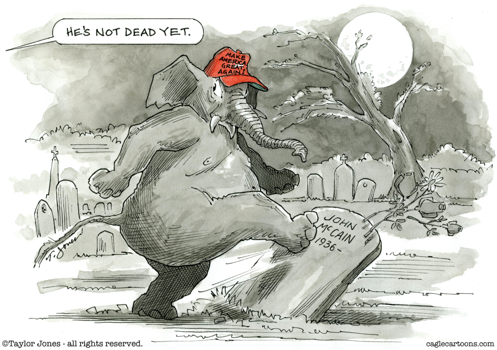 Trump-loving McCain haters