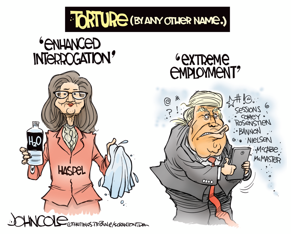 Tortured euphemisms