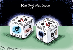 GAMBLING ON HOME by Joe Heller