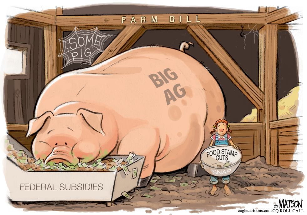 Congress's Web