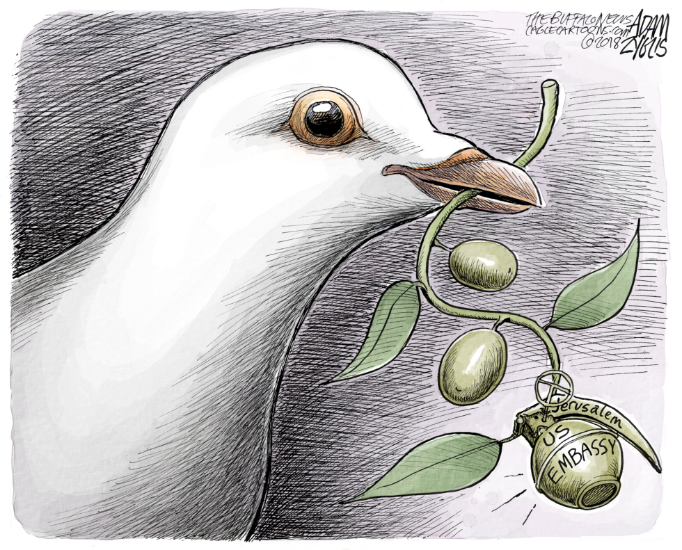 Peace Process